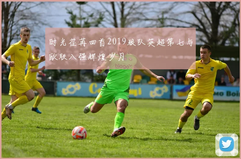 时光荏苒回首2019狼队英超第七与欧联八强辉煌岁月